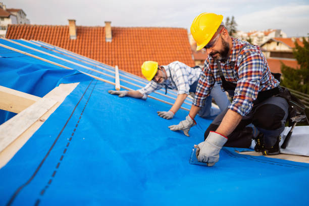 Roof Gutter Cleaning in Almedia, PA