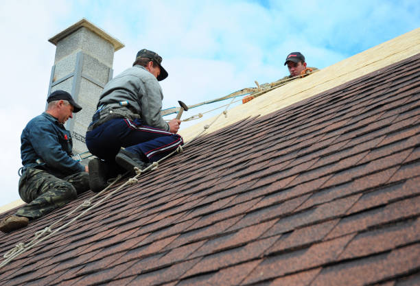 Best Flat Roof Repair Services  in Almedia, PA
